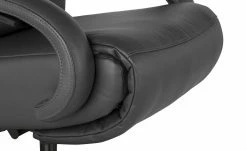 Hukla Ledersessel Florian | Anthrazit 11 Hukla Ledersessel Florian | Anthrazit -hoeffner Verkäufe 18409952 12 202104011244