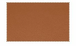 meinSofa Ledersessel Manon | Sunset (Orangebraun) 8 meinSofa Ledersessel Manon | Sunset (Orangebraun) -hoeffner Verkäufe 22404849 9 201904302040