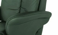 himolla Ledersessel 7418 | Tanne (Grün) -hoeffner Verkäufe 27402828 3 202012011634