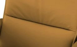 Wohnwert Relaxsessel Liora | Kurkuma (Gelb-Braun) Grundfunktion 10 Wohnwert Relaxsessel Liora | Kurkuma (Gelb-Braun) Grundfunktion -hoeffner Verkäufe 28404278 10 202110261258