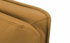 Wohnwert Relaxsessel Liora | Kurkuma (Gelb-Braun) Grundfunktion 7 Wohnwert Relaxsessel Liora | Kurkuma (Gelb-Braun) Grundfunktion -hoeffner Verkäufe 28404278 7 202110261258