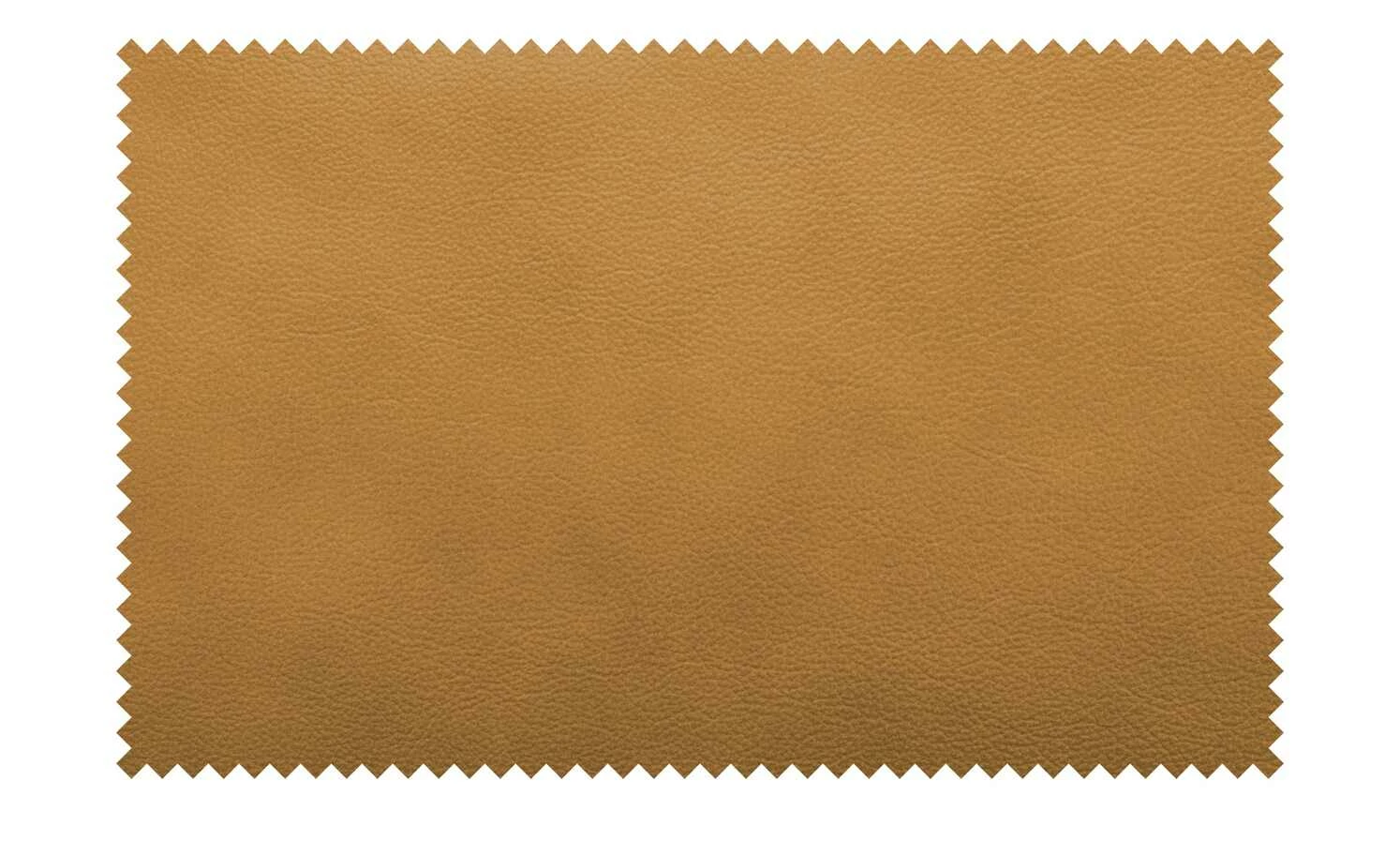 Wohnwert Funktionssessel Liora Wohnwert Funktionssessel Liora | Kurkuma (Gelb-Braun) Grundfunktion -hoeffner Verkäufe 28404295 3 202110282232