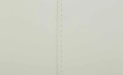 Ledersessel Strauss | Weiß -hoeffner Verkäufe 28404335 6 202203171234